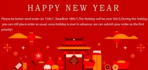 2025 Chinese New Year Holiday