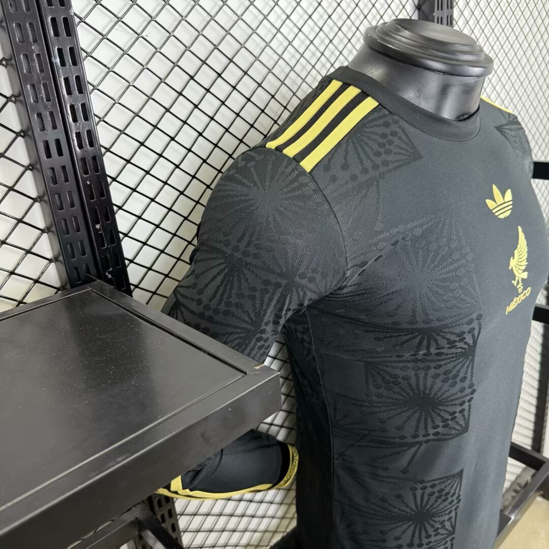 Player Version 2025 Mexico Gold Cup Long Sleeve Special Jersey