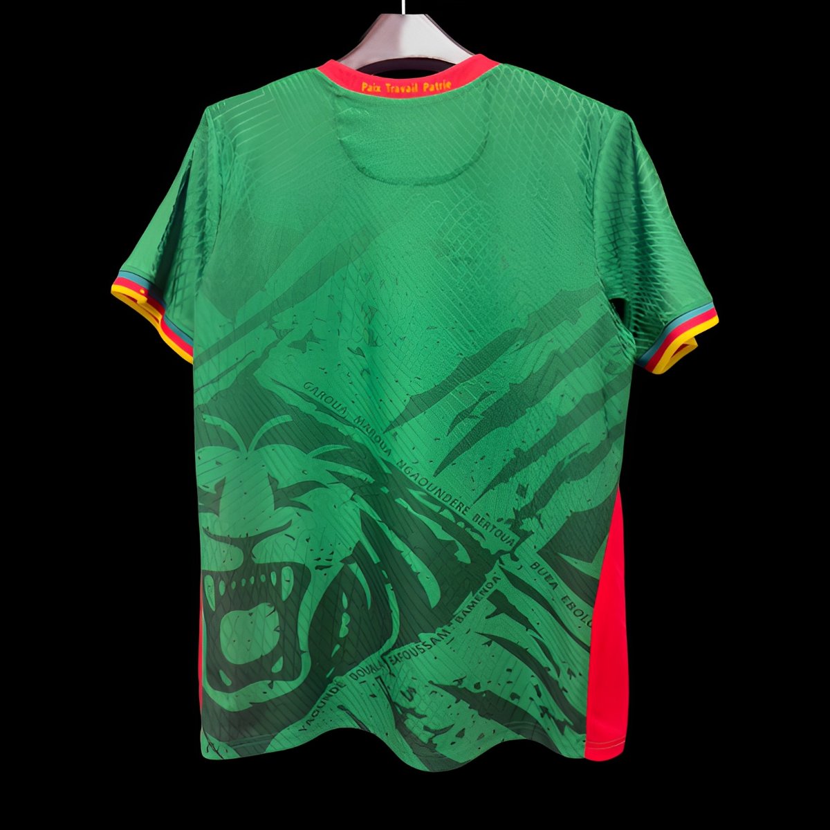 Player Version 2025 Cameroon Home Jersey
