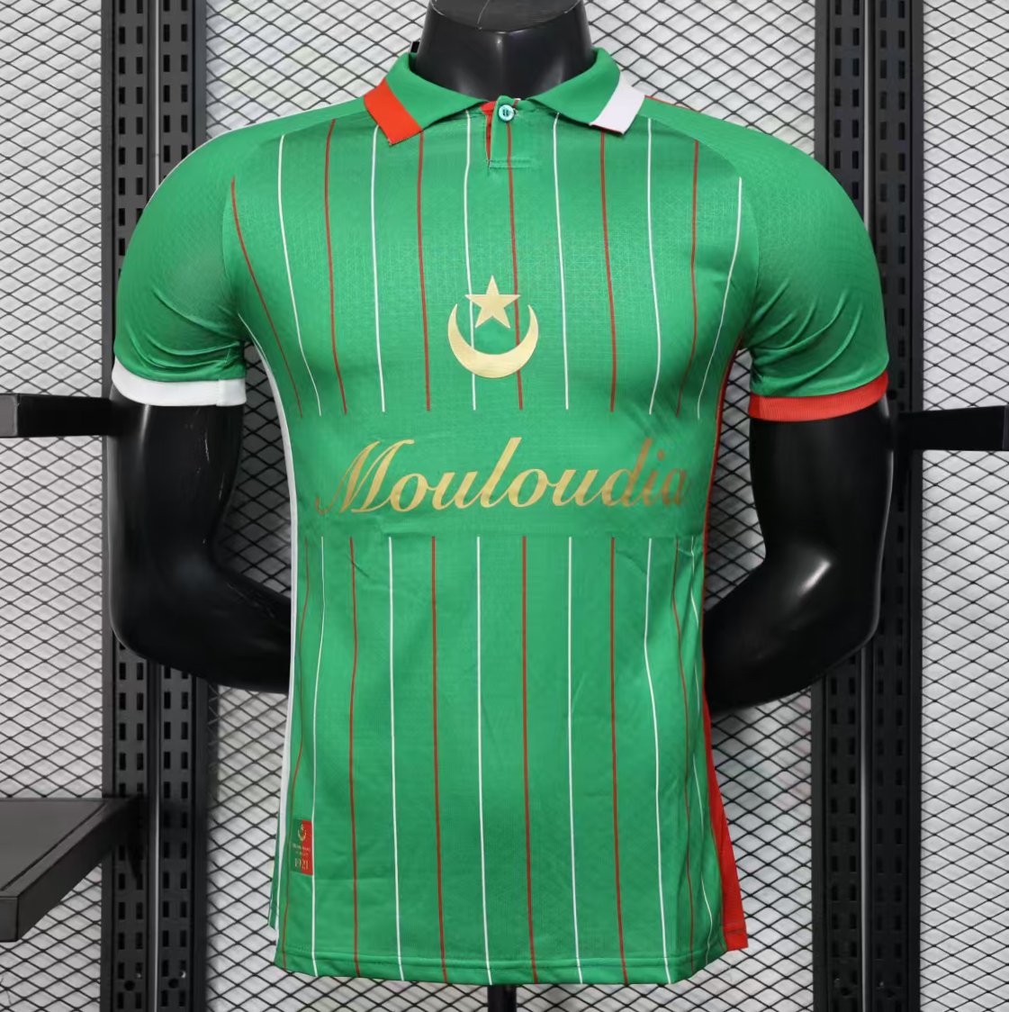 Player Version 25/26 CD Palestina Green Jersey